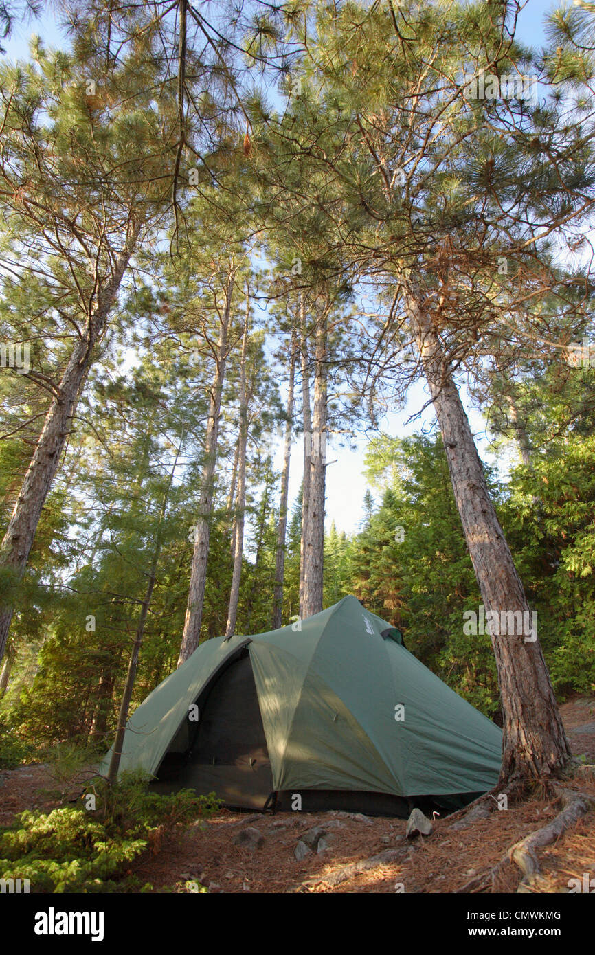 Tent under Pine Trees, Lake Temagami, Temagami, Ontario Stock Photo