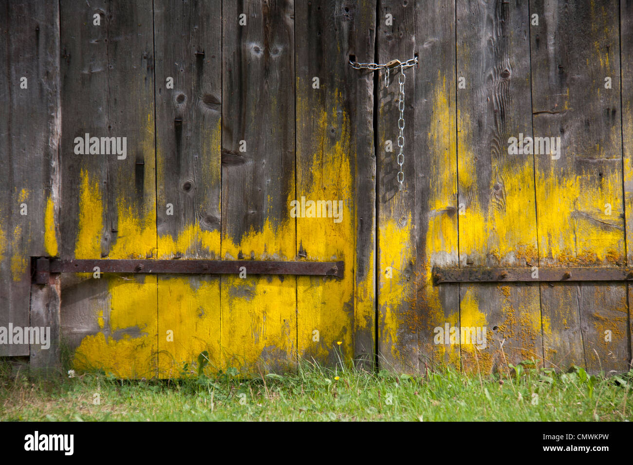 Mold growing on shed doors Stock Photo Alamy