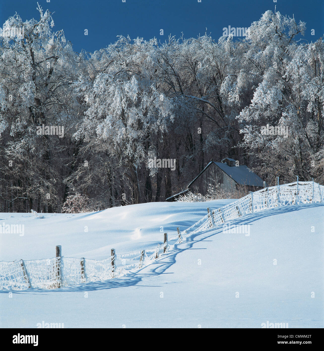 Magloire hires stock photography and images Alamy