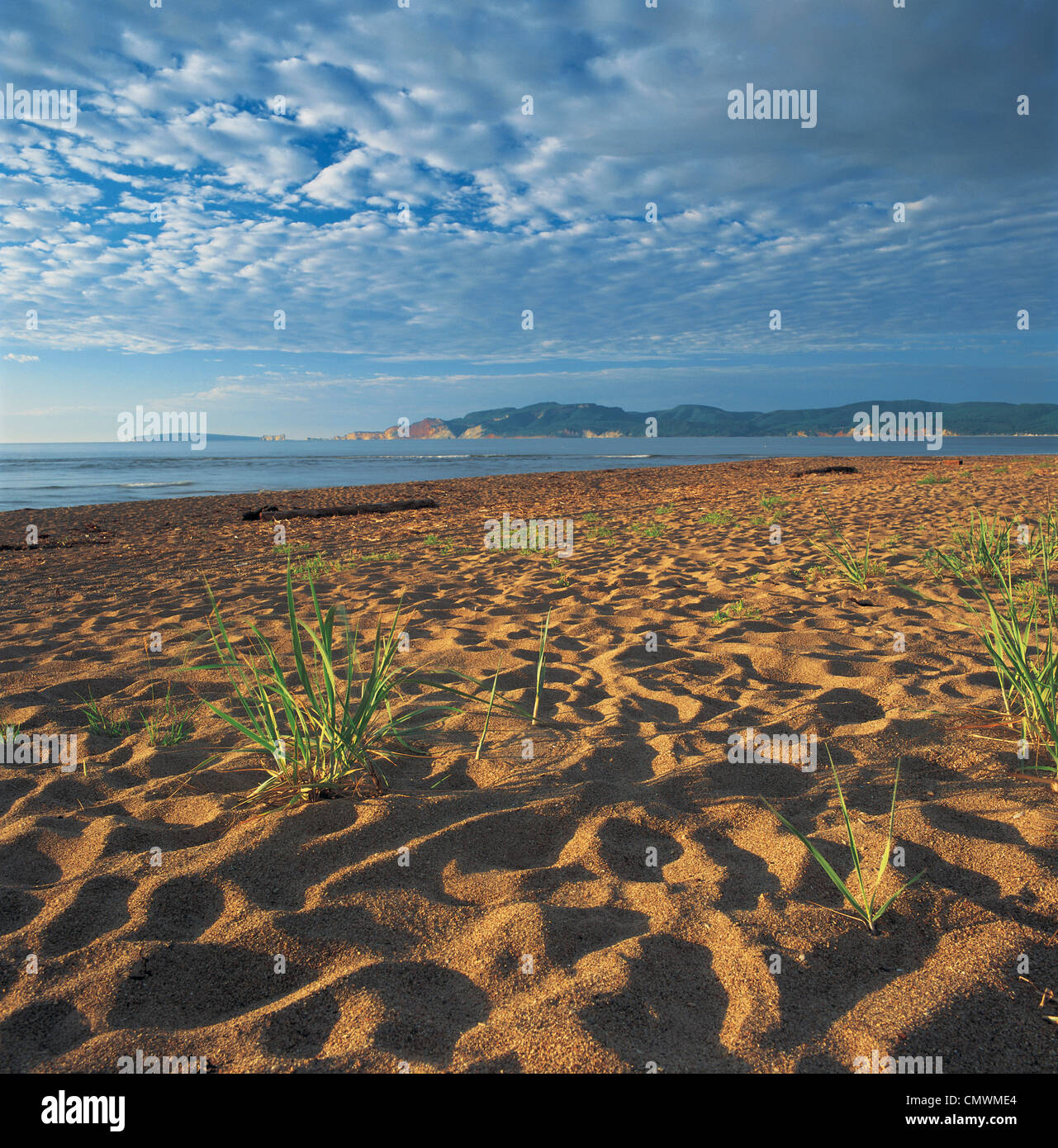 Barachois beach hires stock photography and images Alamy