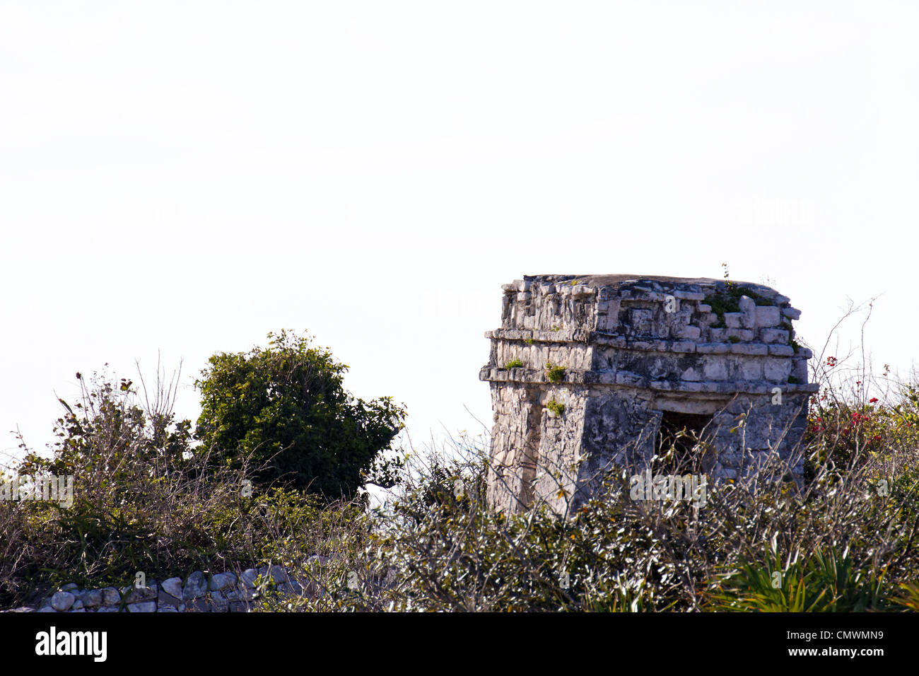 Mayan ruins rising out of the vegetation before a white background at Tulum, Quintana Roo, Mexico. Stock Photo