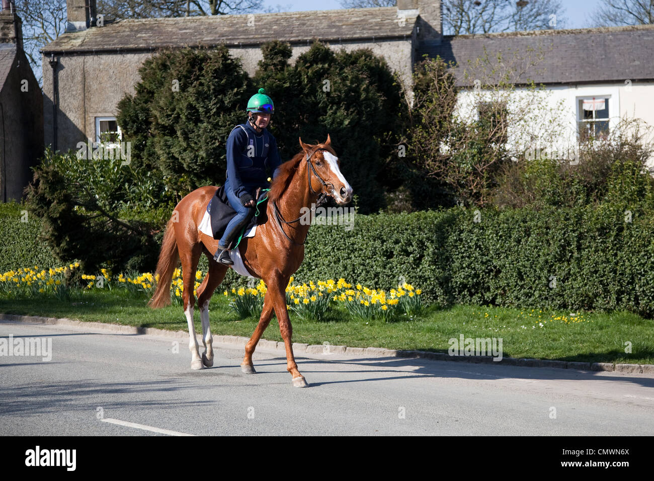 Jockey Exercising Racehorses, horse rider on road in the Town of