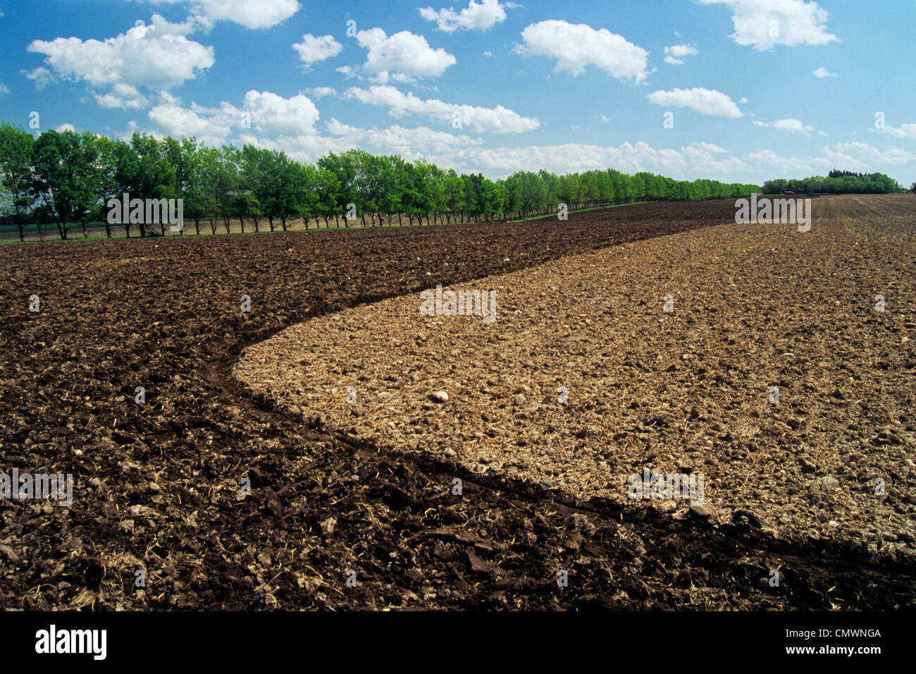 Newly Seeded Field, near Somerset, Manitoba Stock Photo