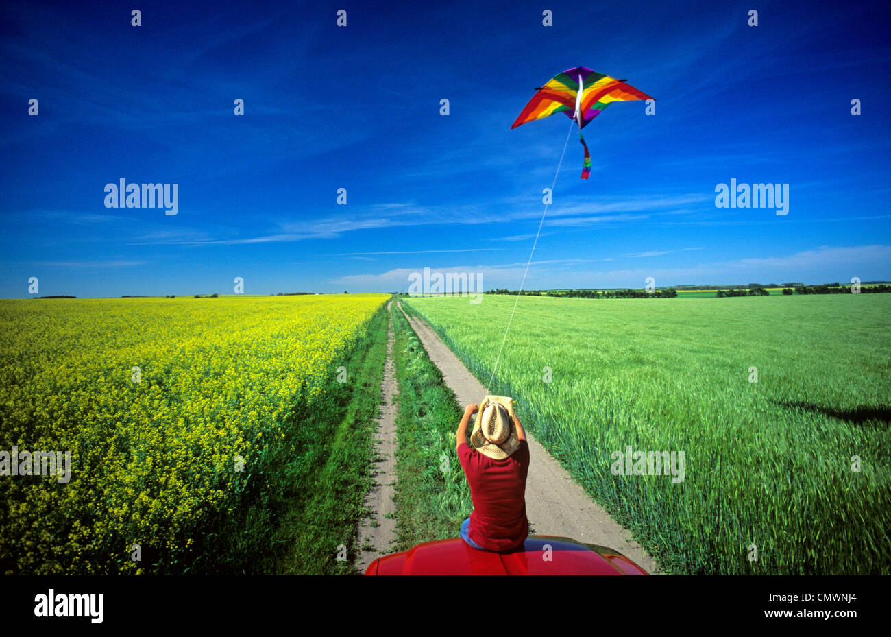 Girl Flying a Kite while Sitting on a Truck, Fields of Barley and Canola in the background, near Somerset, Manitoba Stock Photo