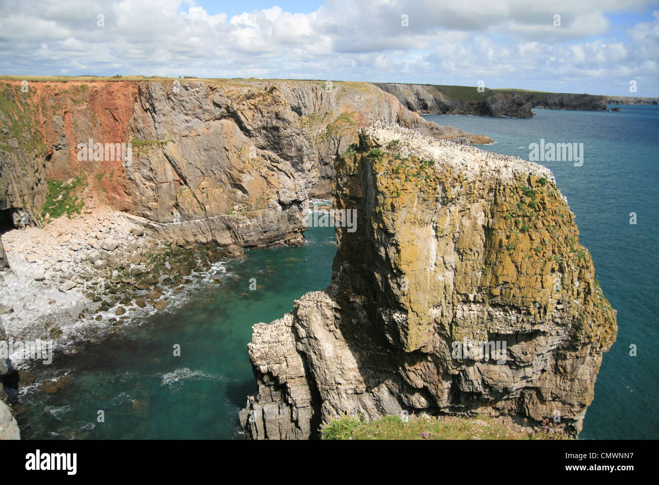 Walking hiking holidays pembrokeshire coast national park hi-res stock ...