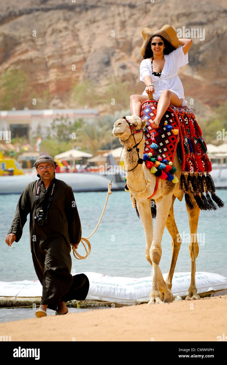 Female Camel High Resolution Stock Photography and Images - Alamy