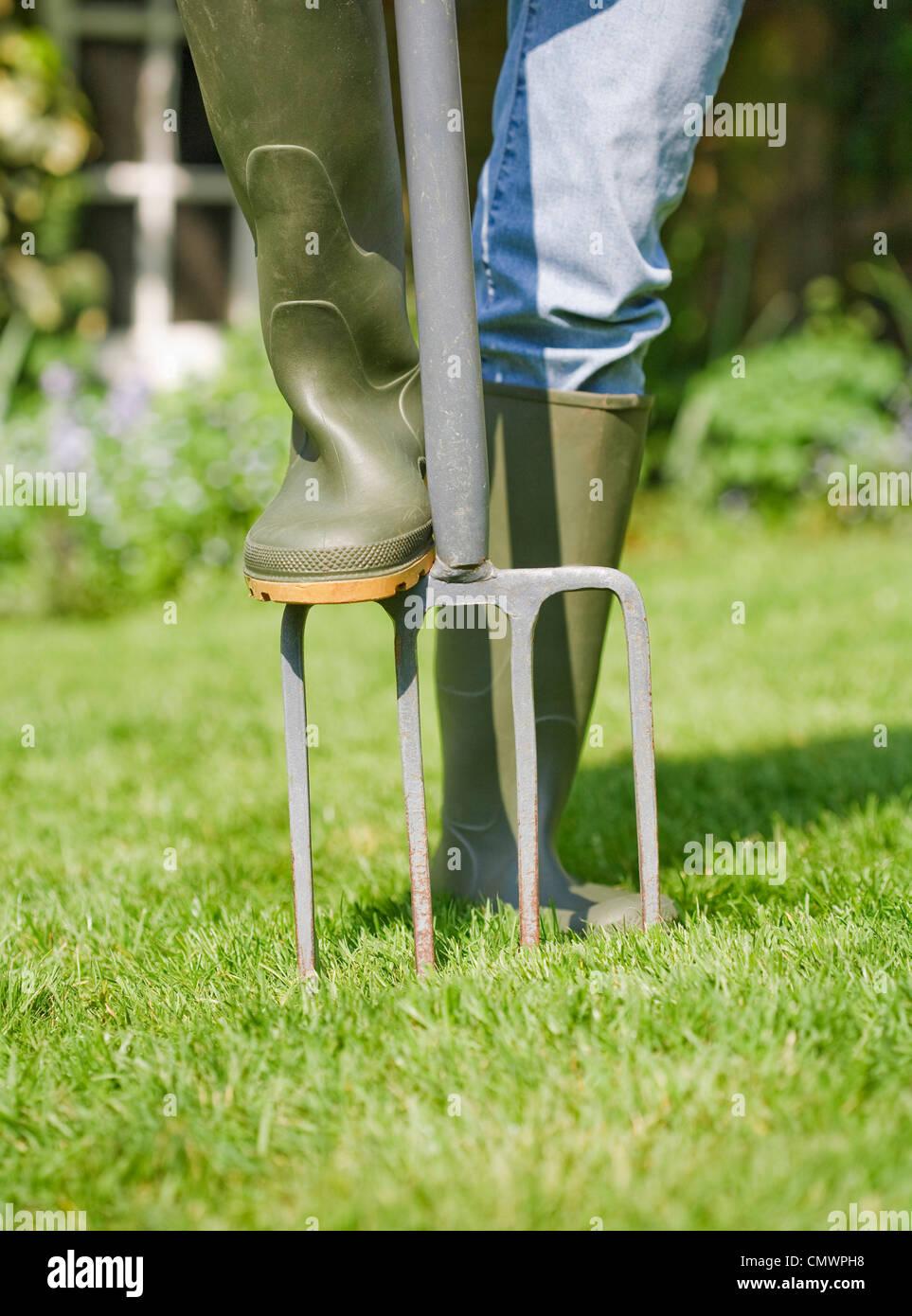 Woman gardener aerates garden lawn with a fork Stock Photo