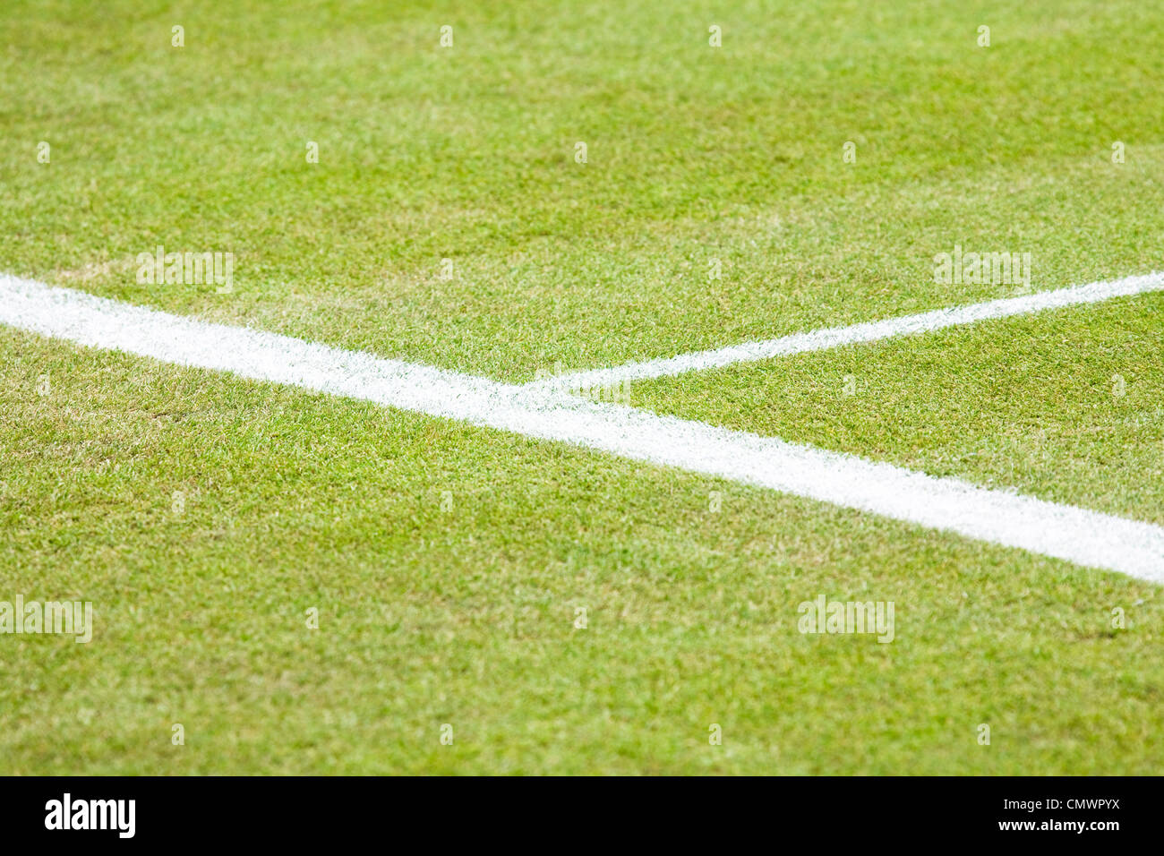 Closeup of the service line on a grass tennis court Stock Photo