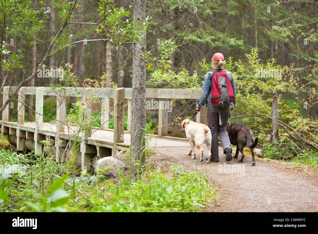 Woman hiking with two Labrador Retrievers, Lake Louise, Banff National