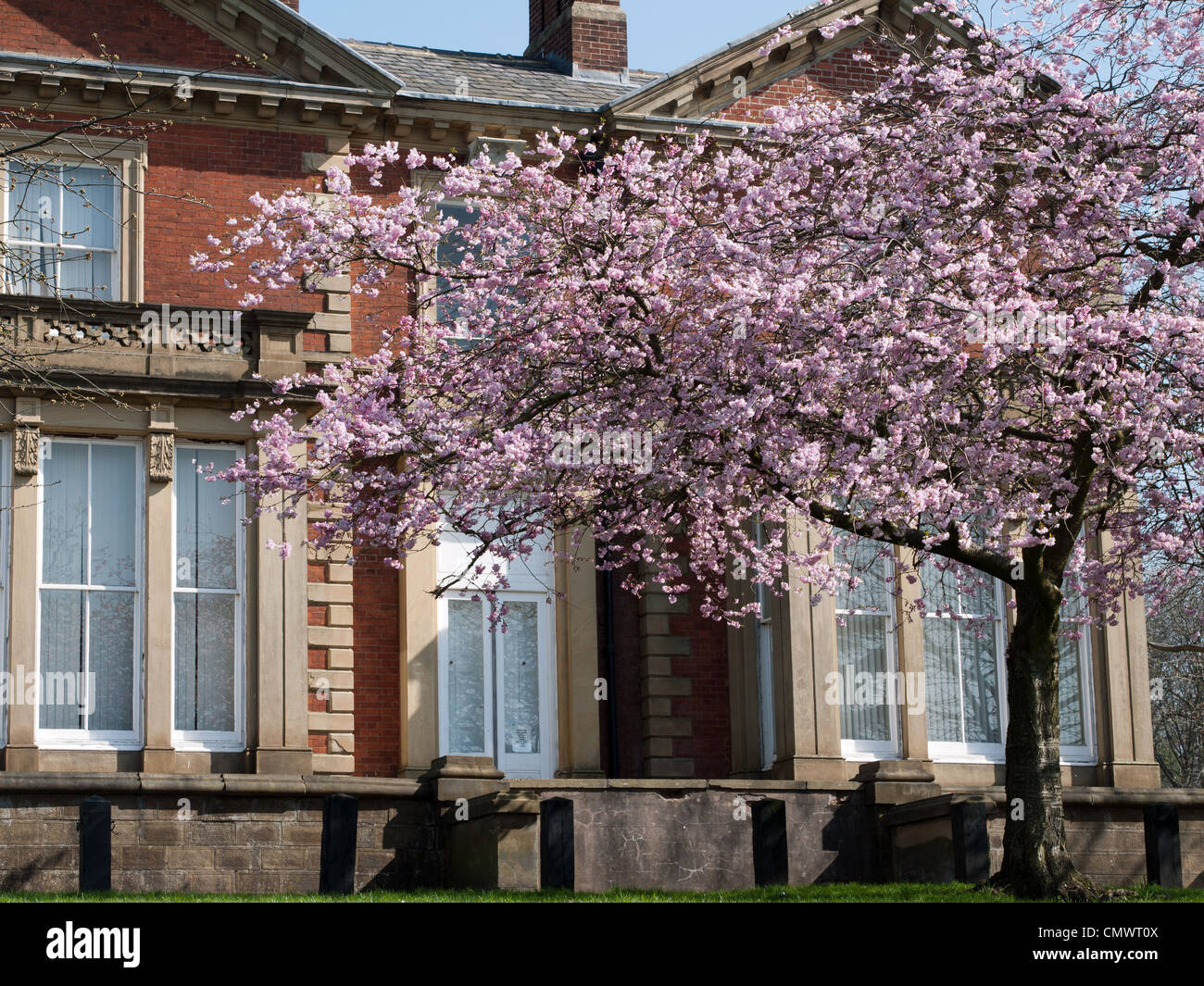 Spring in Park, Oldham, UK Stock Photo Alamy