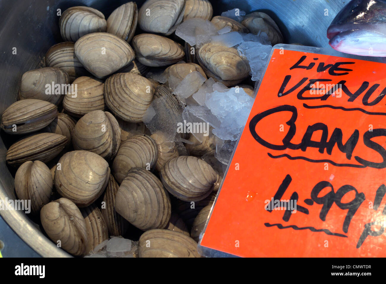 united kingdom west sussex littlehampton riverside fish shop a wet fish
