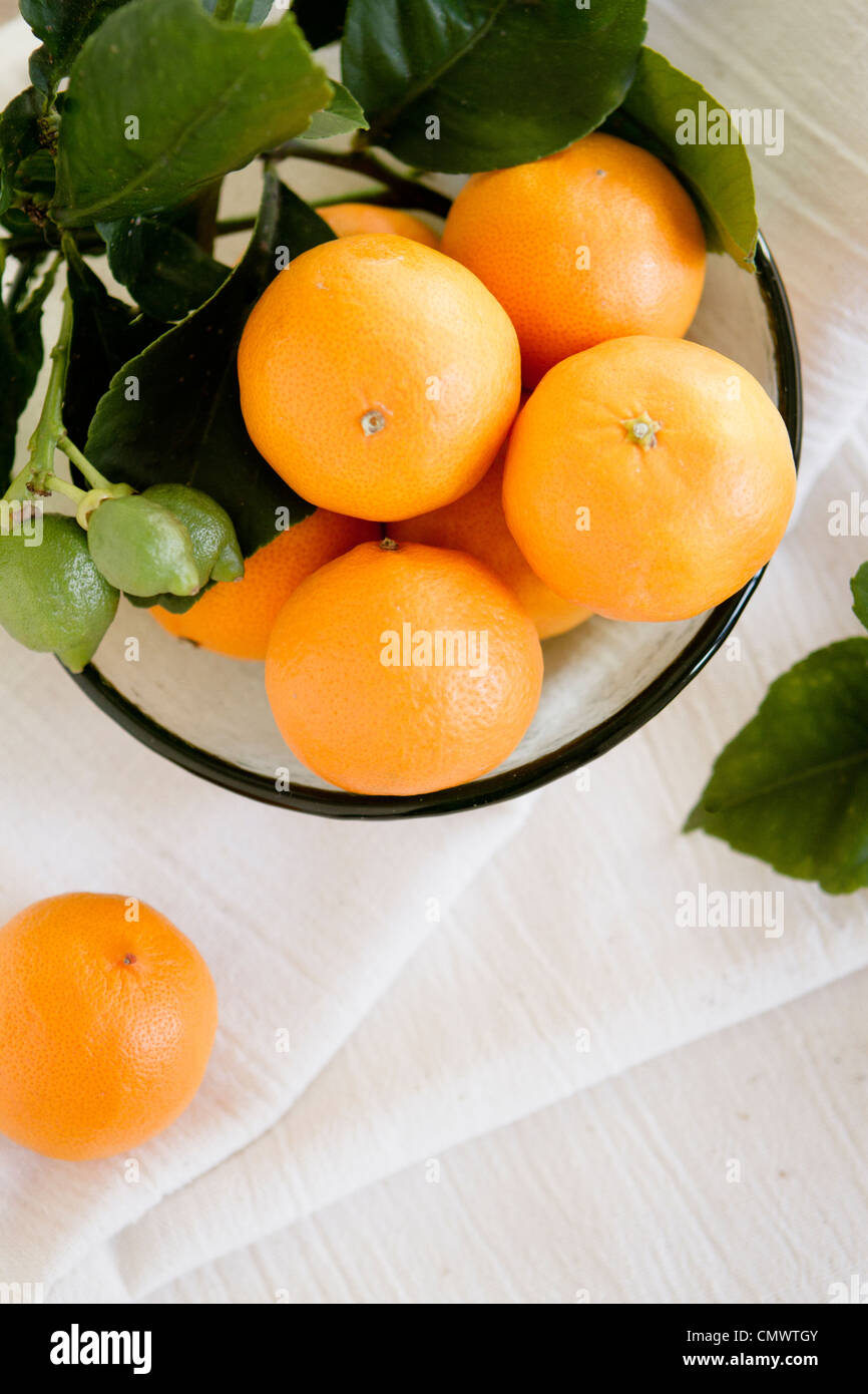 Pixie tangerines from Ojai, California Stock Photo Alamy