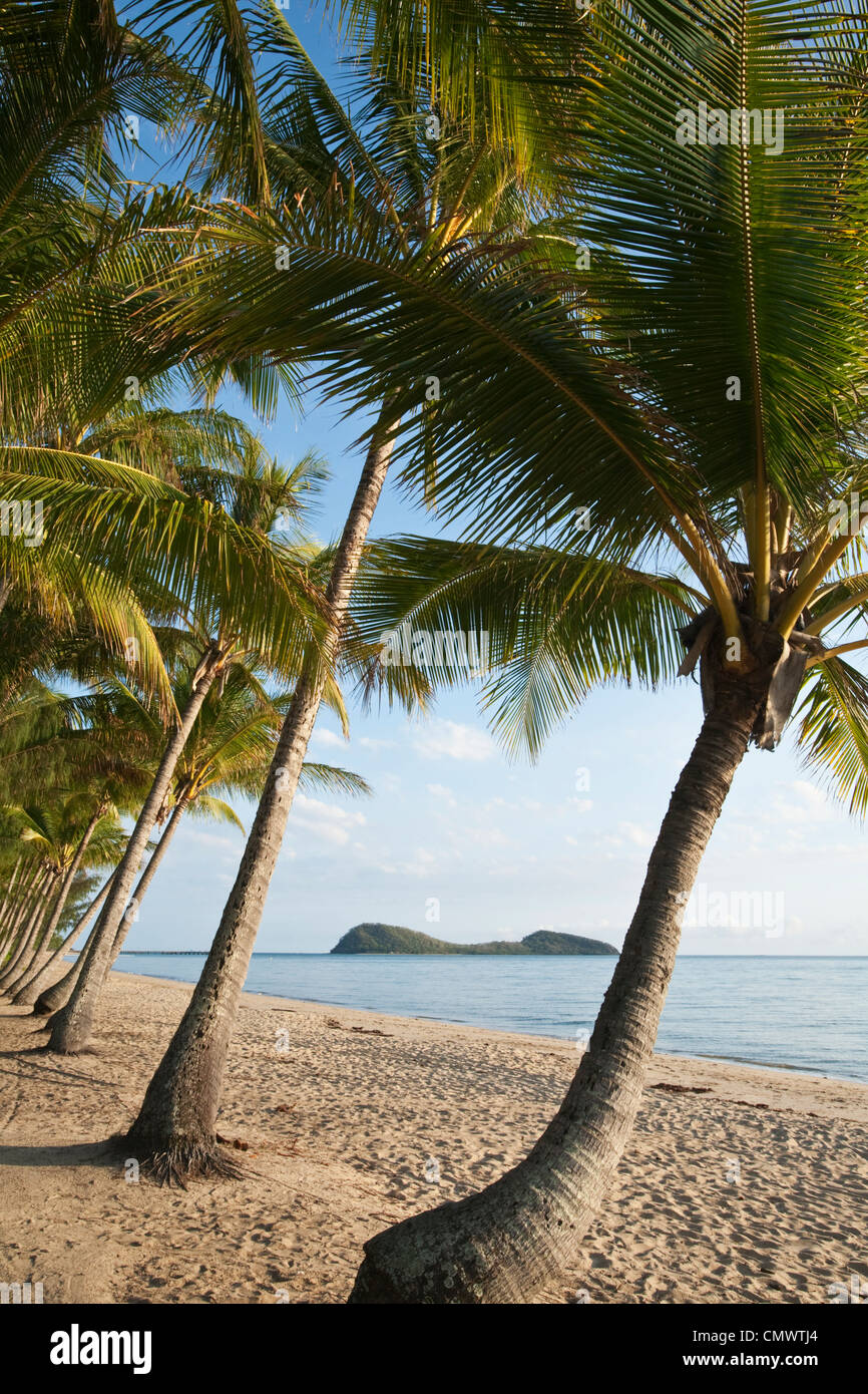 Palm trees tropical island beach hi-res stock photography and images ...