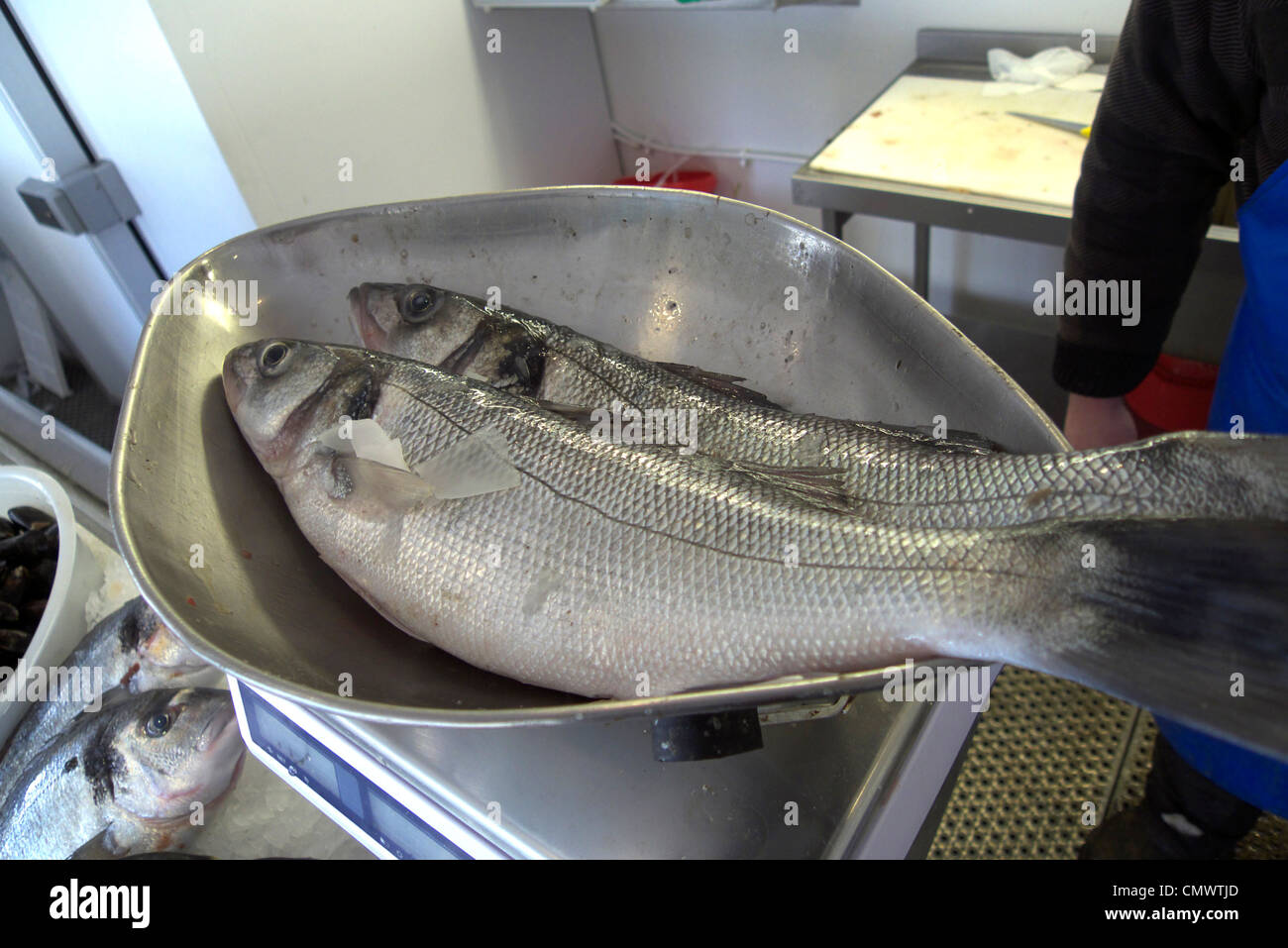 Fish weight hi-res stock photography and images - Alamy