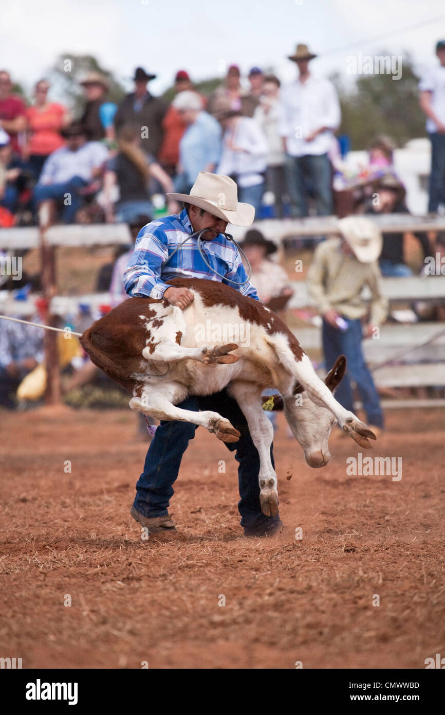 Cowboy calf-roping at the Mt Garnet Rodeo.  Mt Garnet, Queensland, Australia Stock Photo