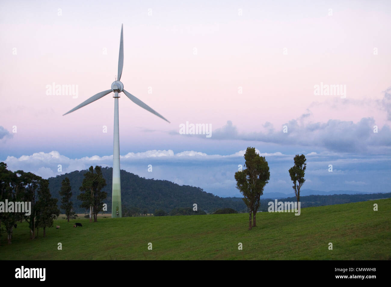 Windy Hill Wind farm. Ravenshoe, Atherton Tablelands, Queensland, Australia Stock Photo