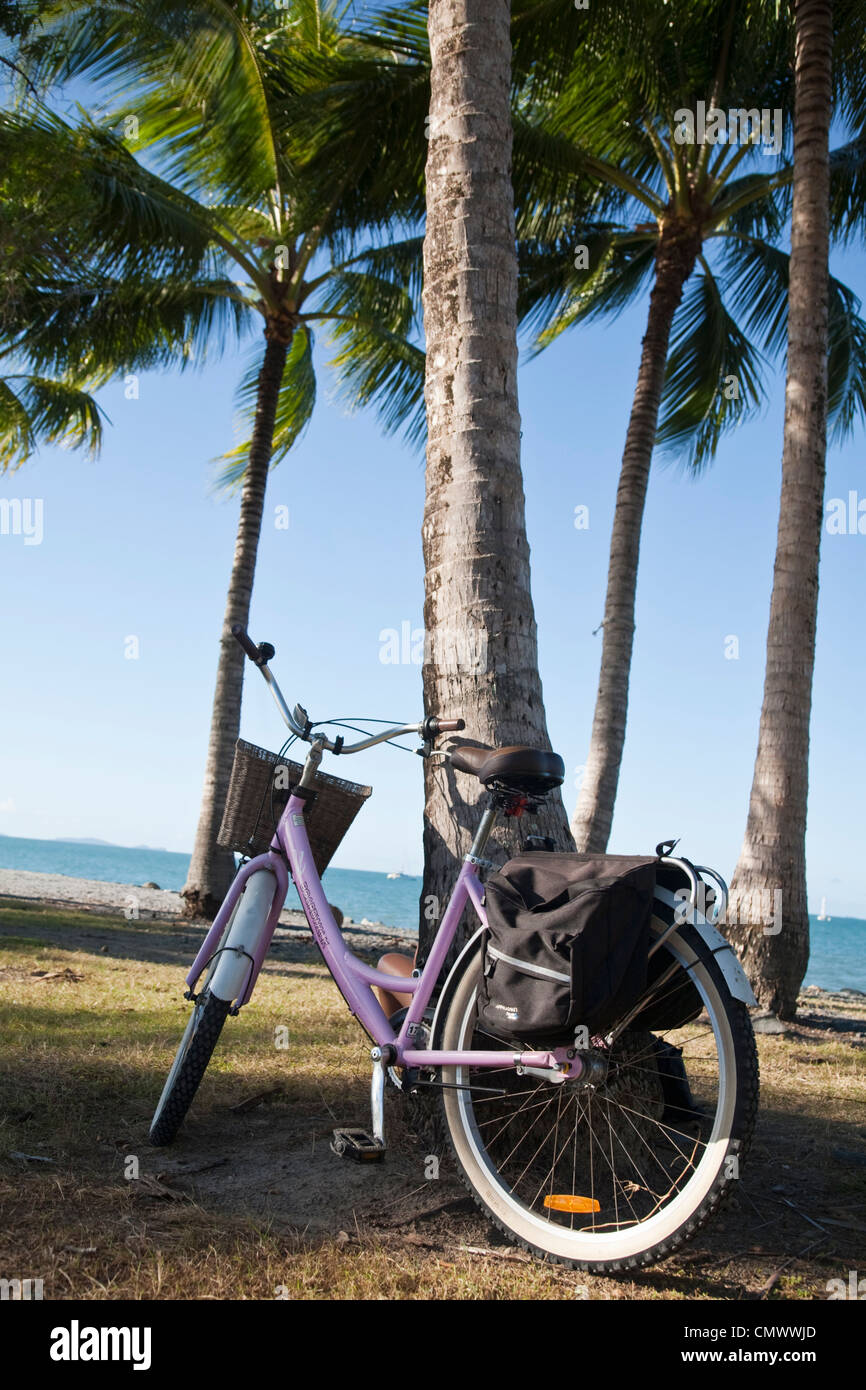 Bike leaning against coconut palm in Rex Smeal Park. Port Douglas, Queensland, Australia Stock Photo