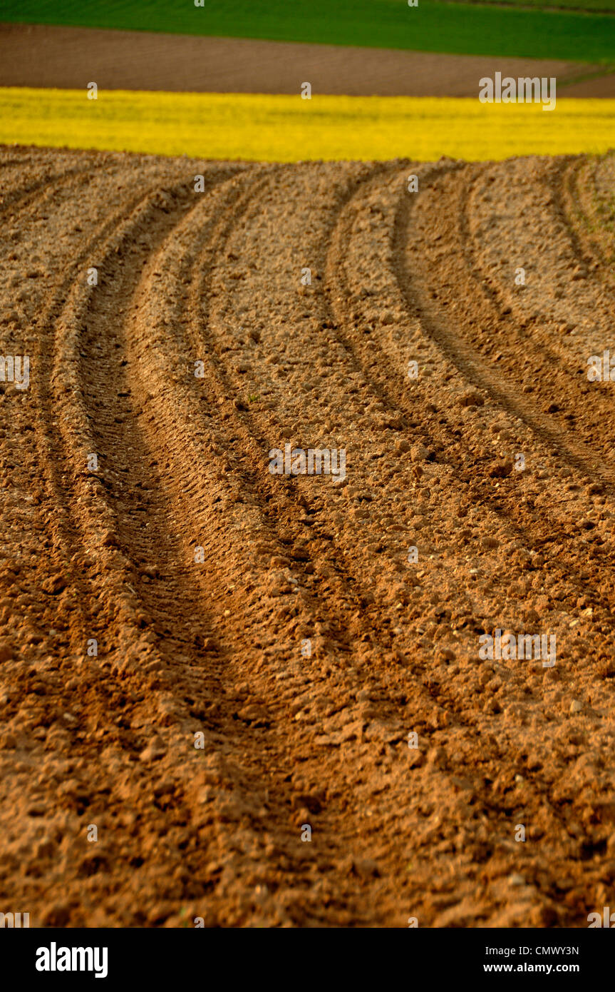 Furrows in a plowed field Stock Photo