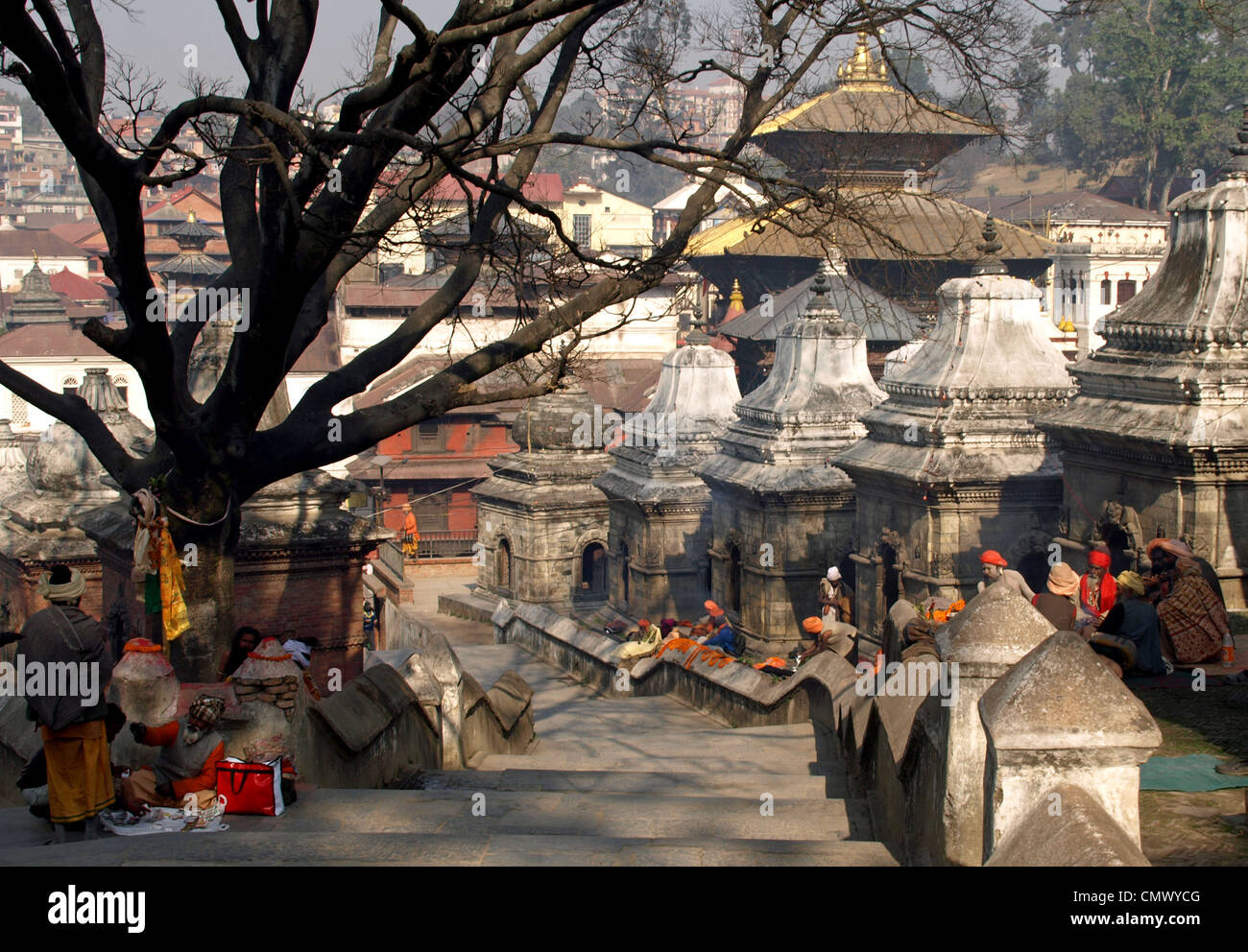 Temples and Sadhus at Pashupatinath Hindu Temple in Nepal. Stock Photo