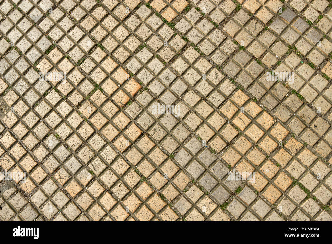 Dirty old beige colour square shapes paving slabs close up. Stock Photo