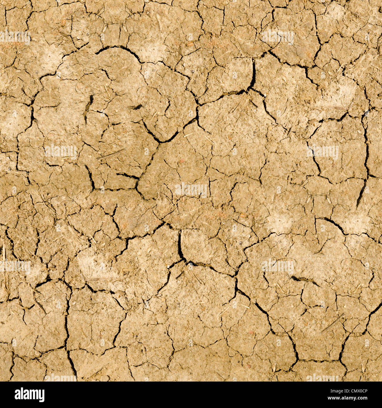 Cracked dry land without water hi-res stock photography and images - Alamy