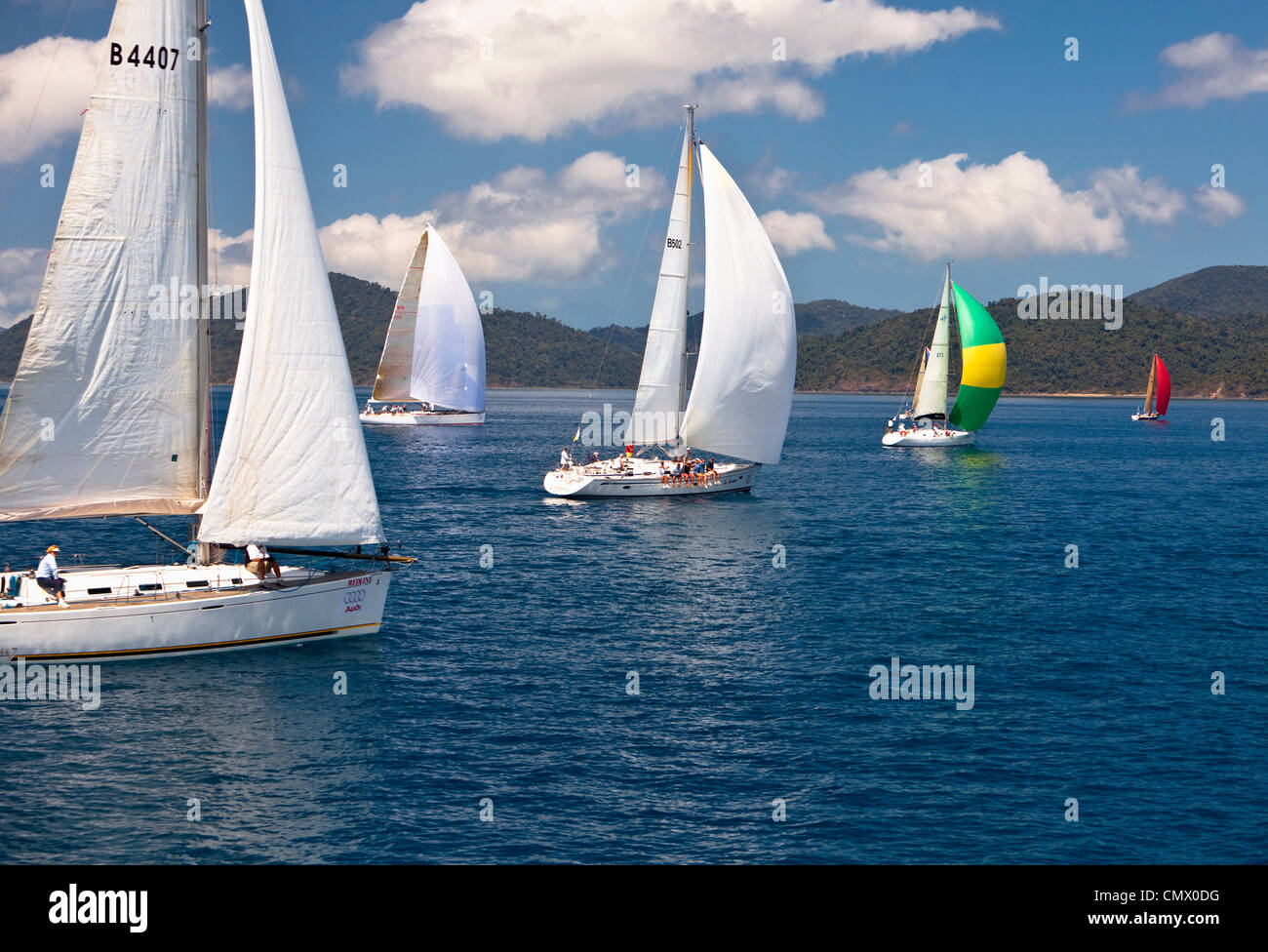 Boat craft racing sailing competition australia hires stock