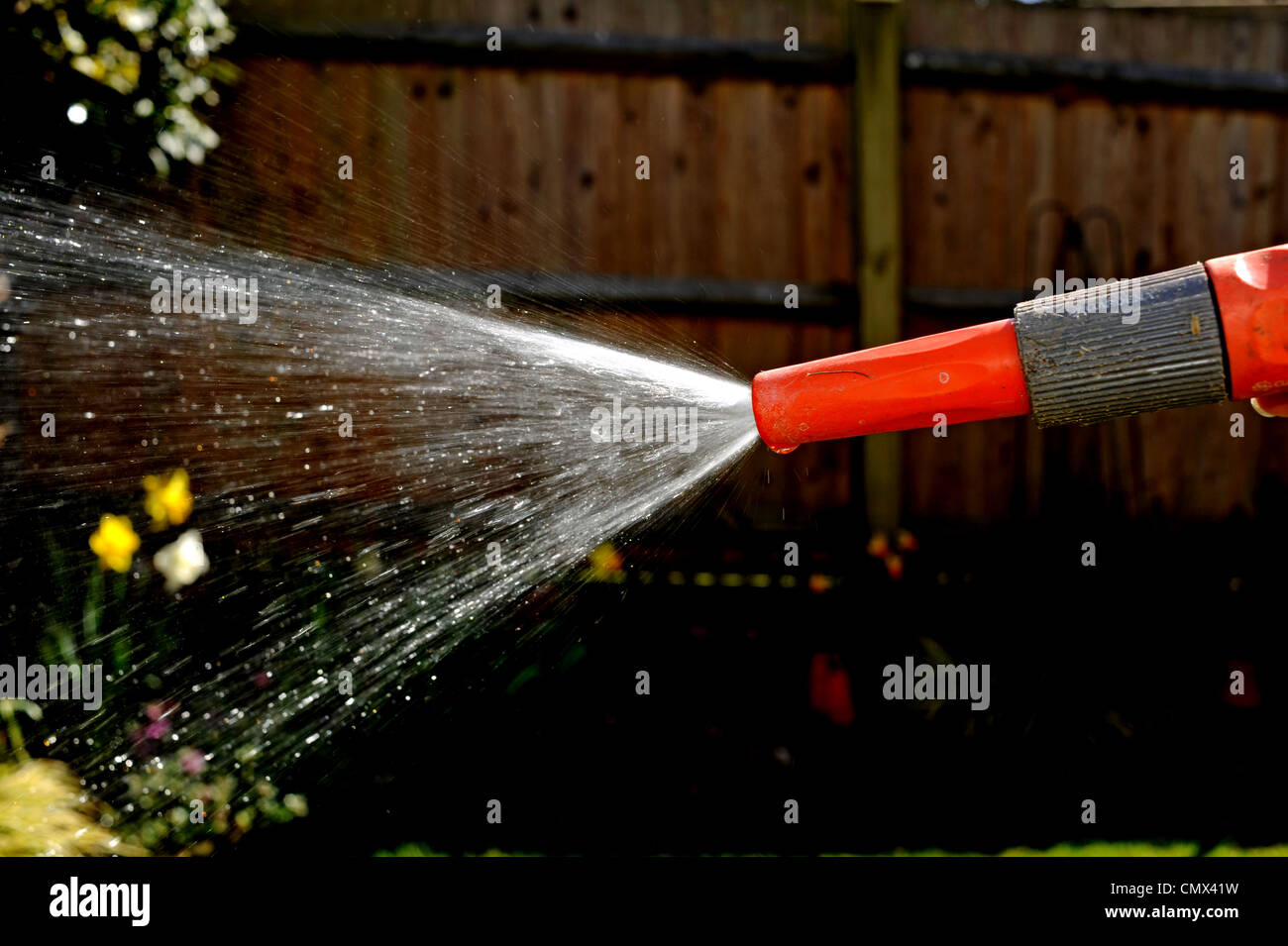 Woman using a garden hose . There are hosepipe bans planned for some parts of the south of England UK Stock Photo