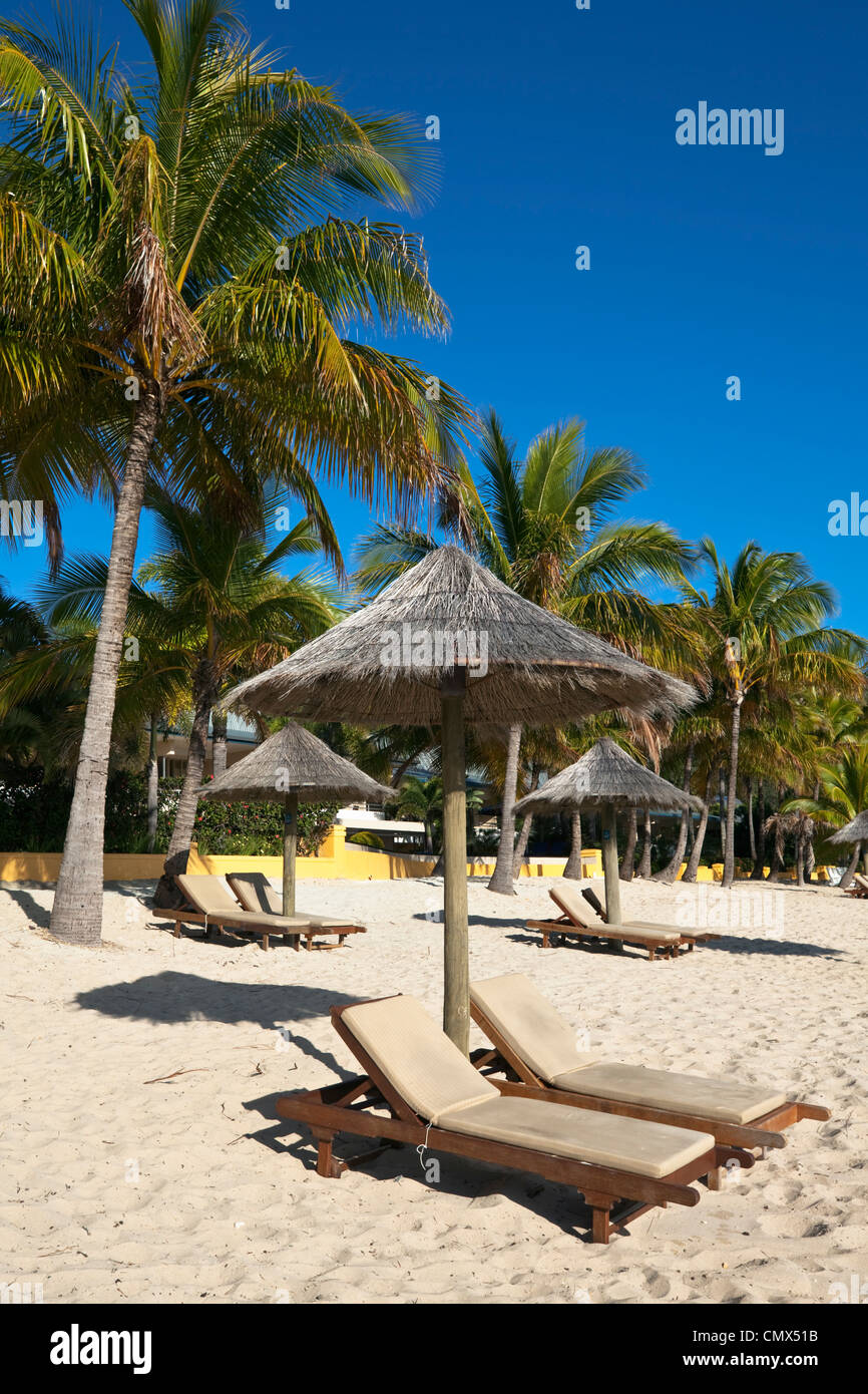 Sun lounges and beach umbrellas on Catseye Beach. Hamilton Island