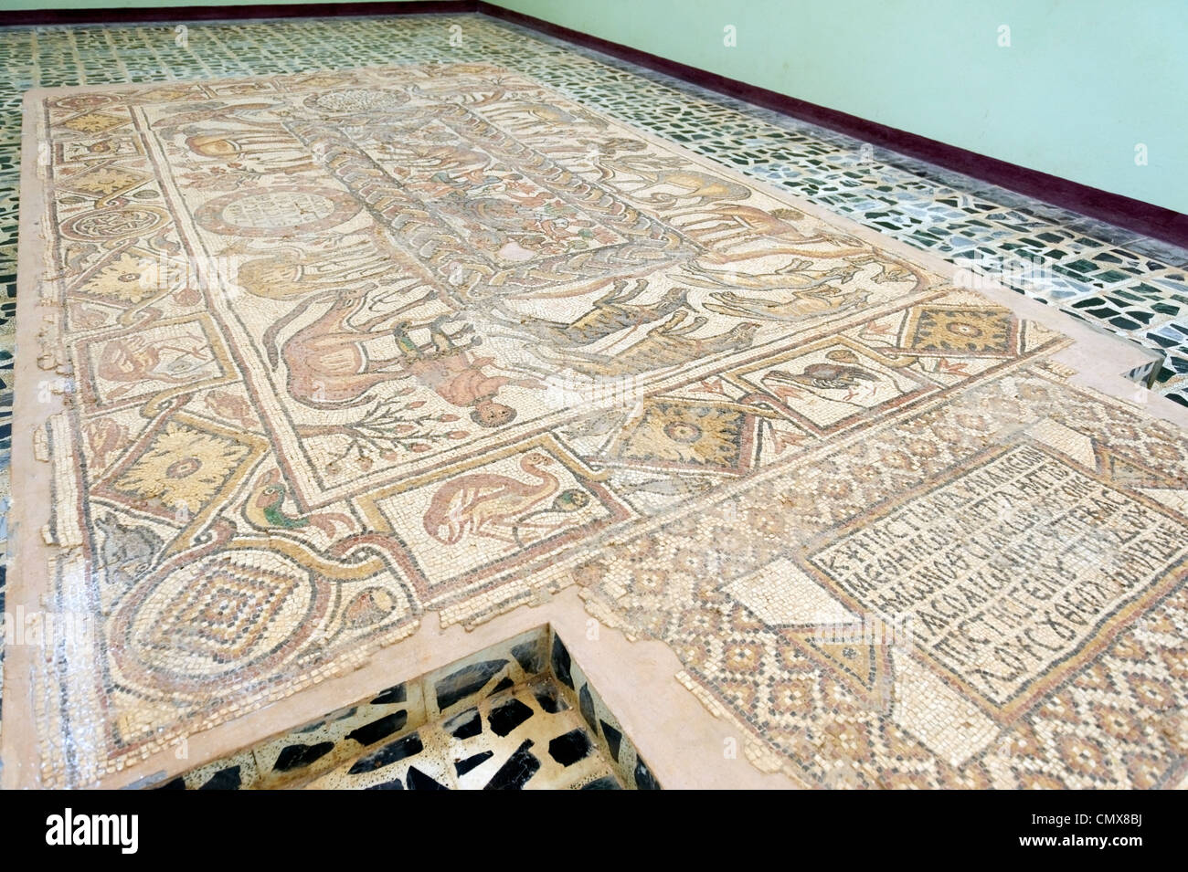 View inside of the museum at Libya of the largest mosaic that was found in the northern aisle of the Eastern Church. Stock Photo