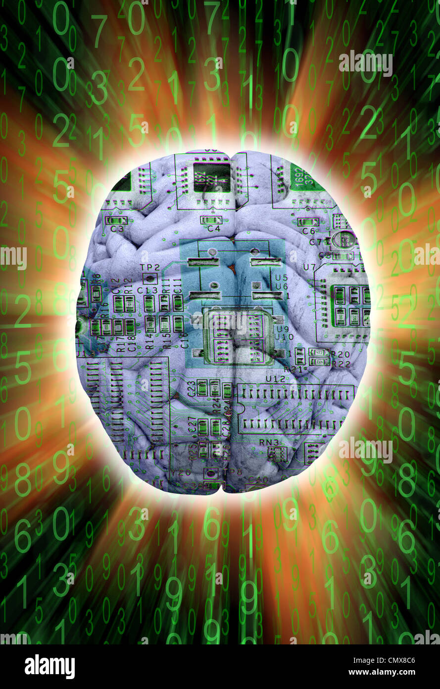 Circuit board in a brain symbolising artificial intelligence Stock ...