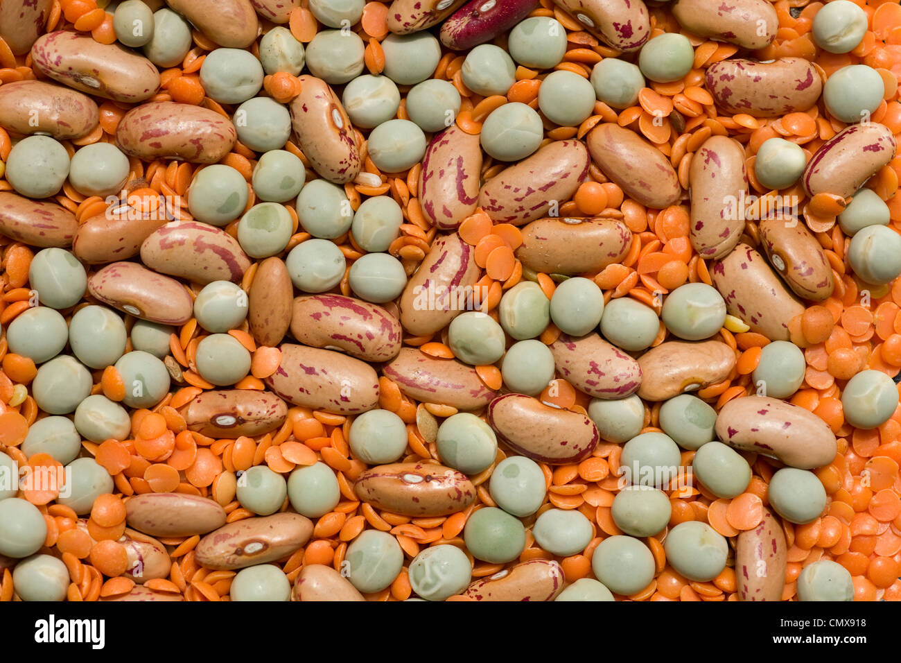 Variety of pulses essential for human life beans, peas, lentils Stock