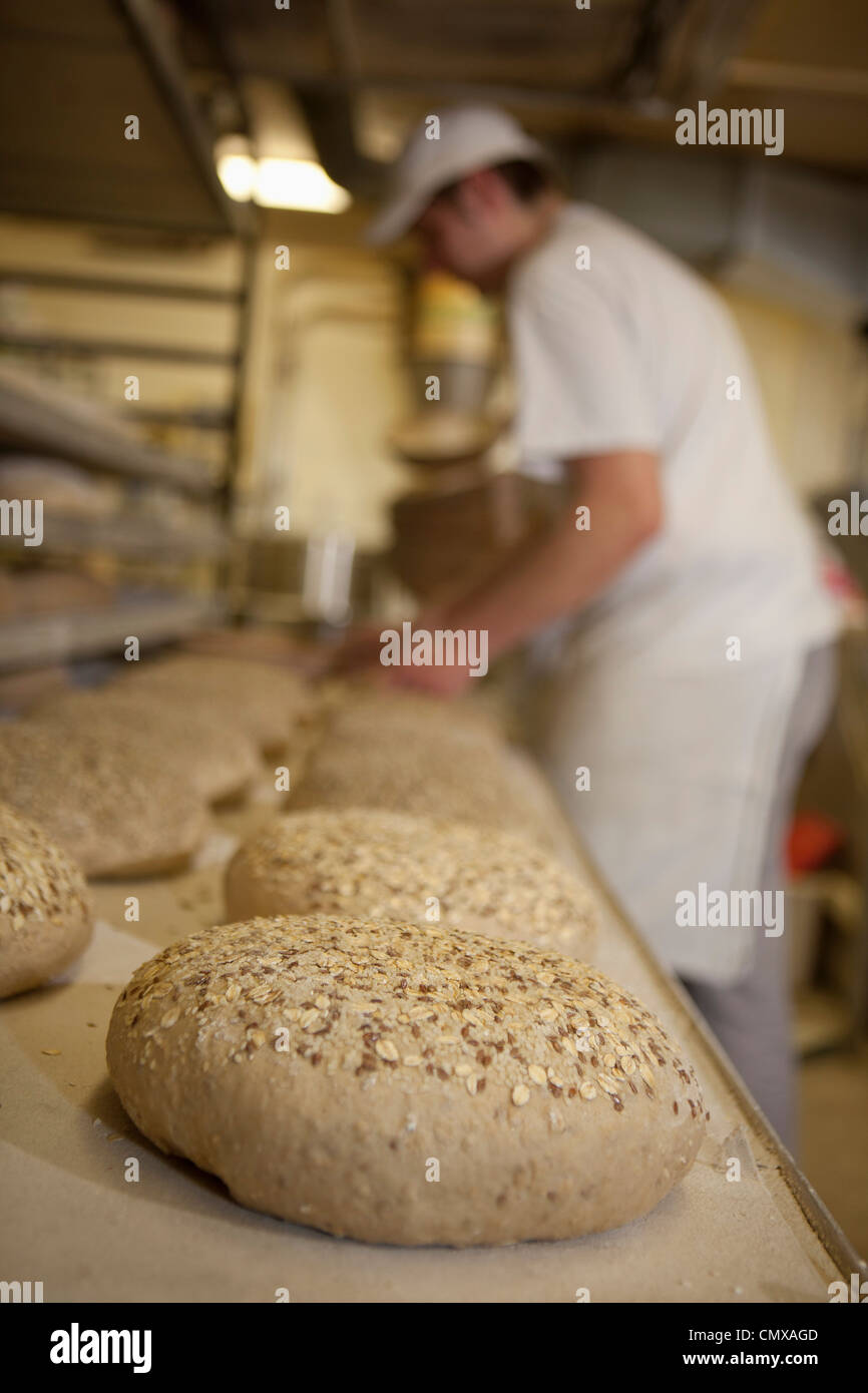 Germany, Bavaria, Munich, Baker putting bread loaf in baking tray Stock