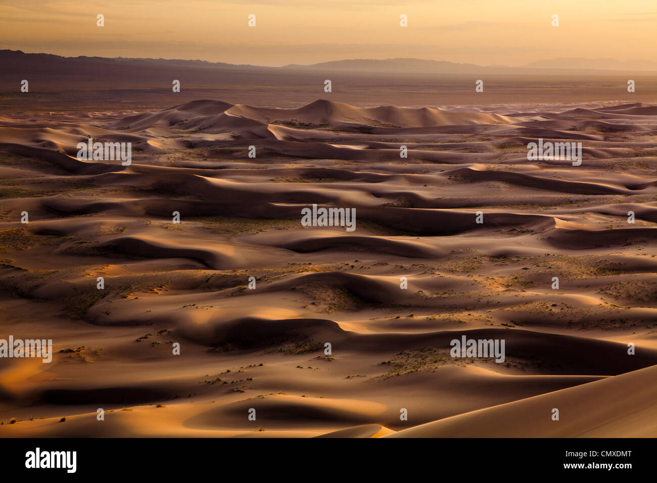The Khongor sand dune in Gobi desert, Mongolia Stock Photo