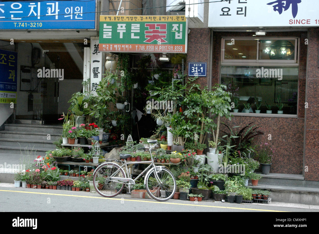 South korea flower hires stock photography and images Alamy