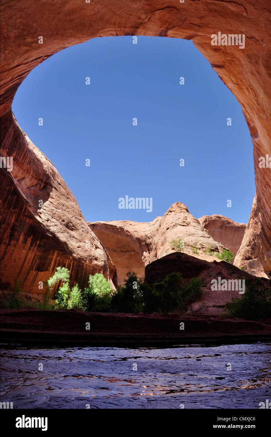 Undercut bend in Coyote Gulch, a tributary of the Escalante River in