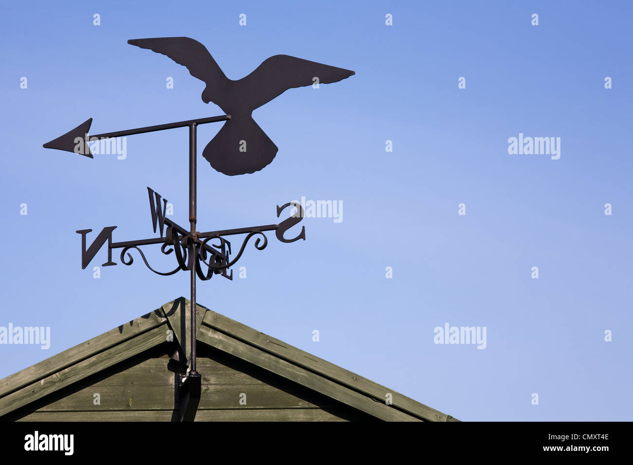 Falcon weather vane on a garden shed against a blue sky. Stock Photo