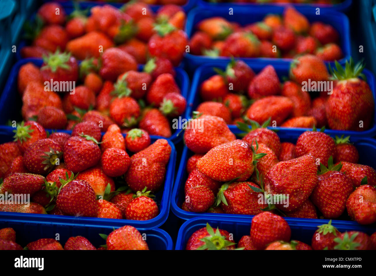 An arrangement of groups of strawberries in blue baskets. Stock Photo