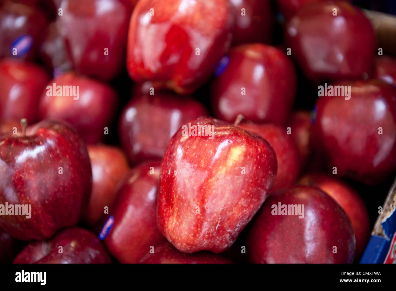 A bright shot of bright, organic red apples in a food market. Stock Photo