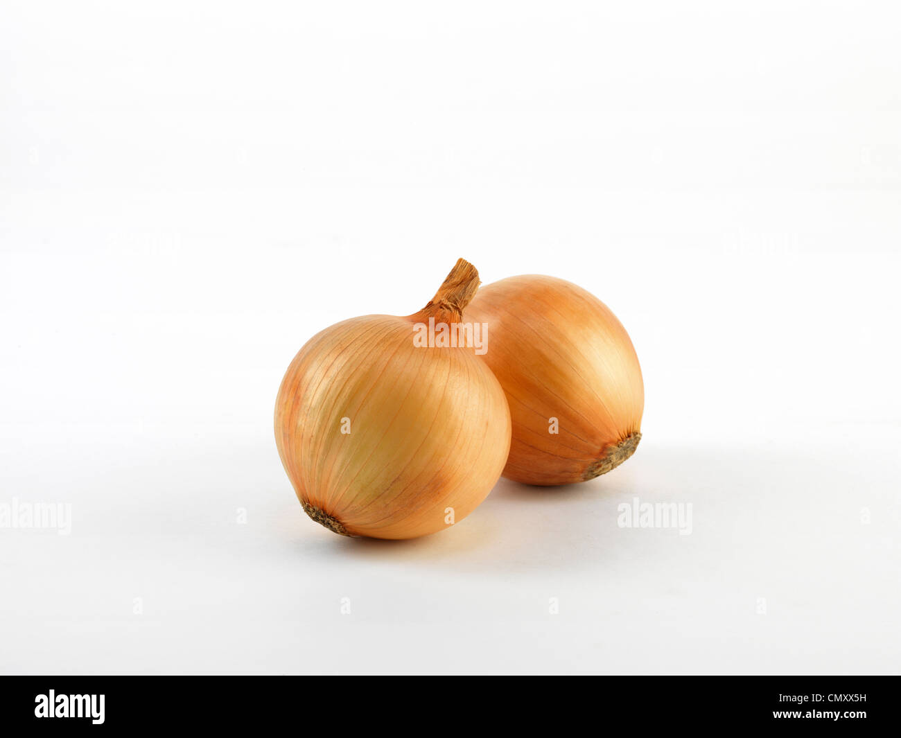 Onion catalog hires stock photography and images Alamy