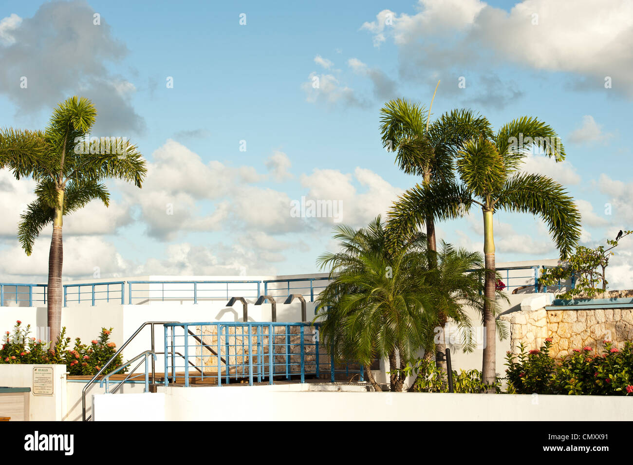Cloudy skies hovering over calm palm trees. Stock Photo