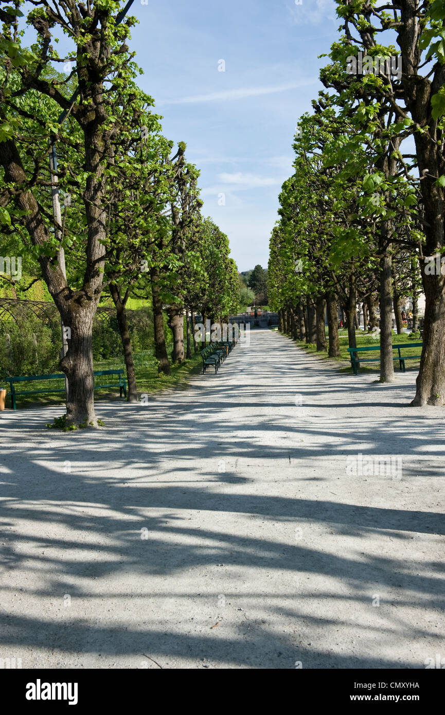 A long shot of a sidewalk outlined by trees. Stock Photo