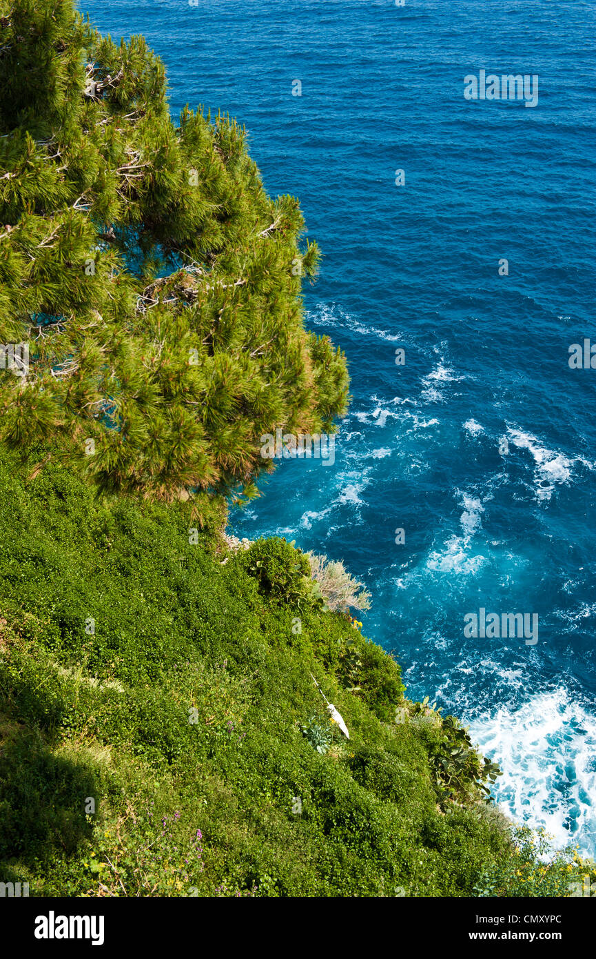 Lush green land surrounding the sea. Stock Photo