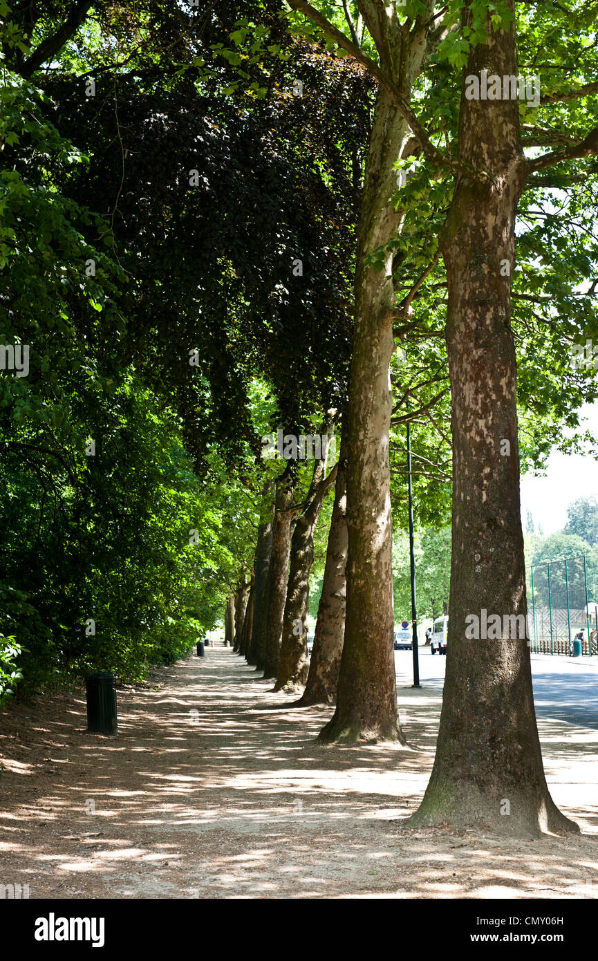 A tree-outlined sidewalk near The Atomium in Brussels. Stock Photo
