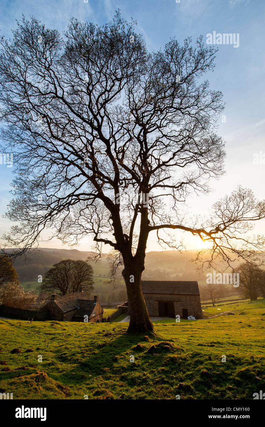 Throstle nest farm hires stock photography and images Alamy