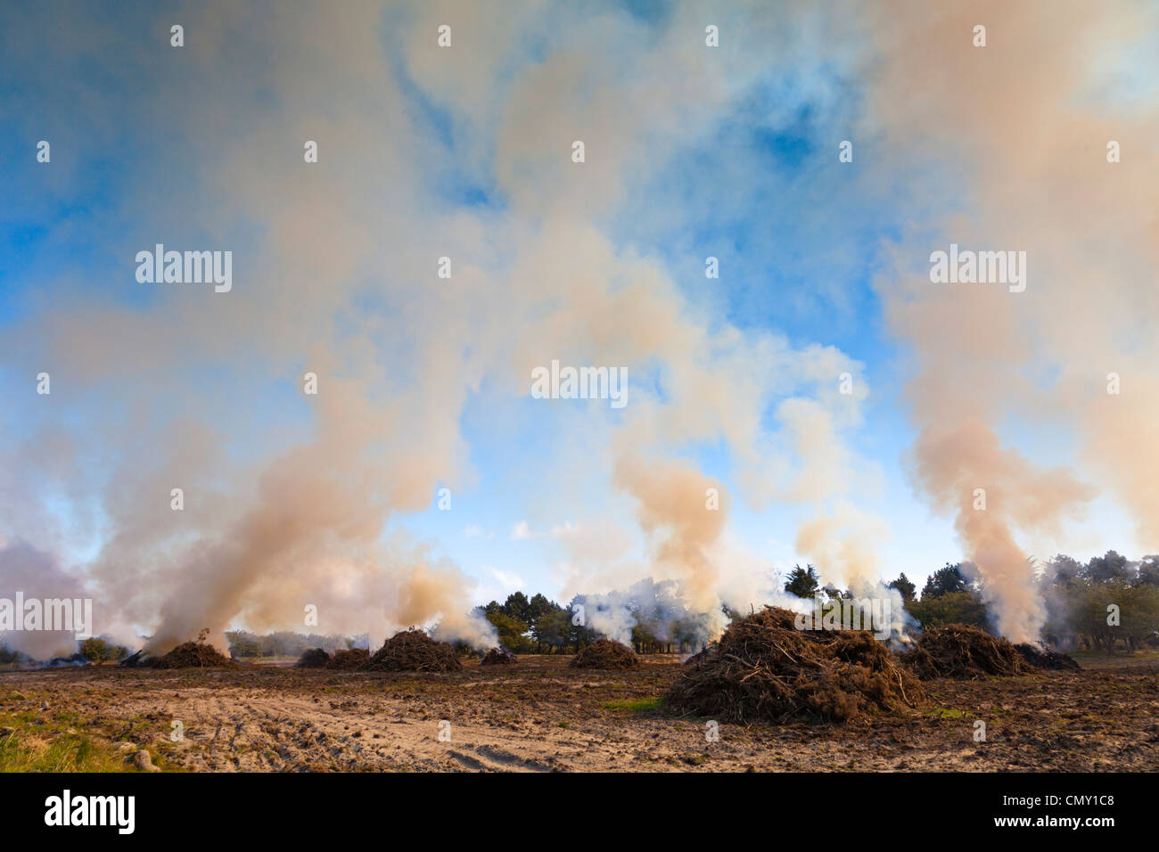 Bonfire in a field or paddock on the West Coast of New Zealand, where gorse has been cleared and is being burned. Stock Photo