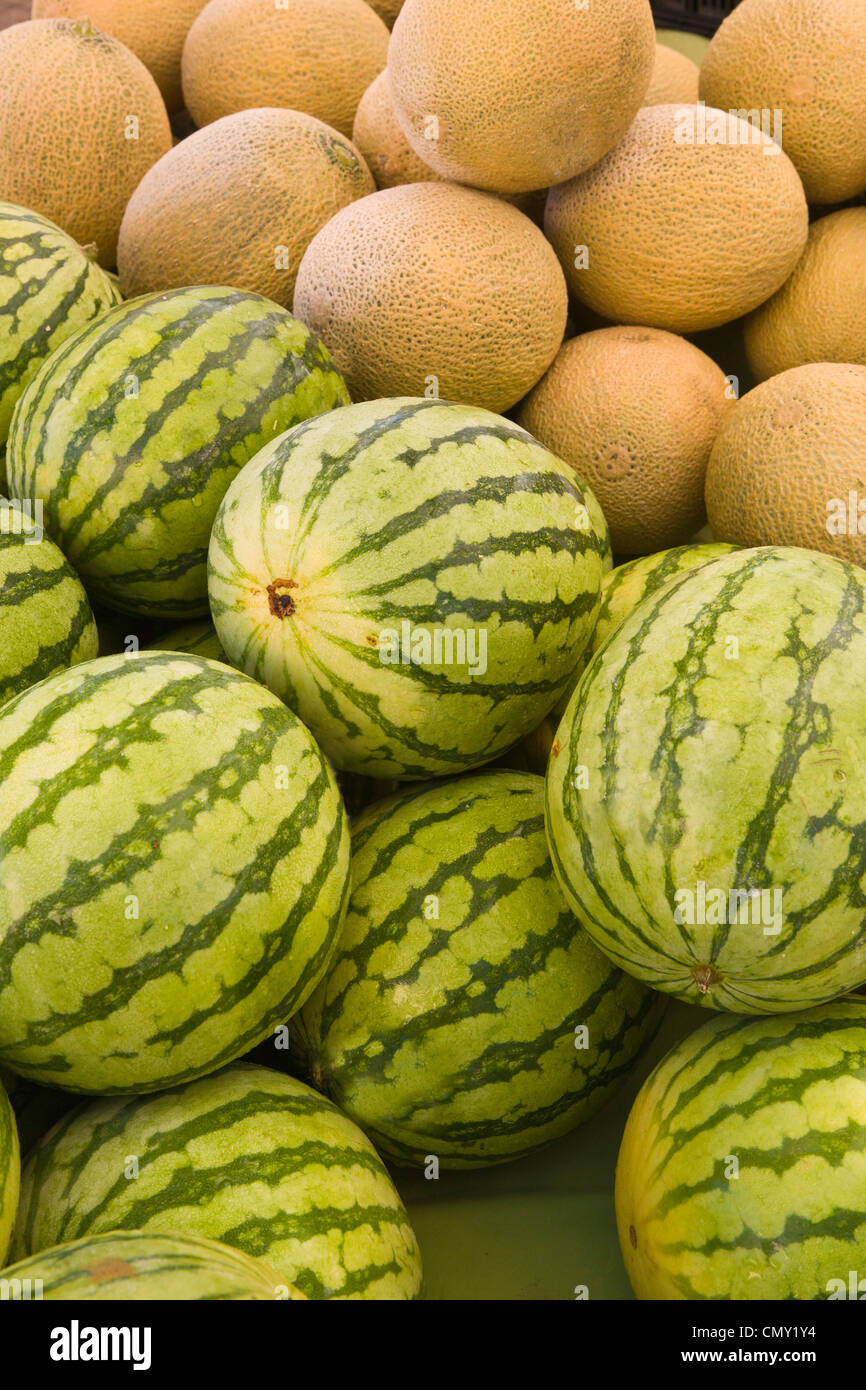 Musk melons and watermelons Stock Photo Alamy