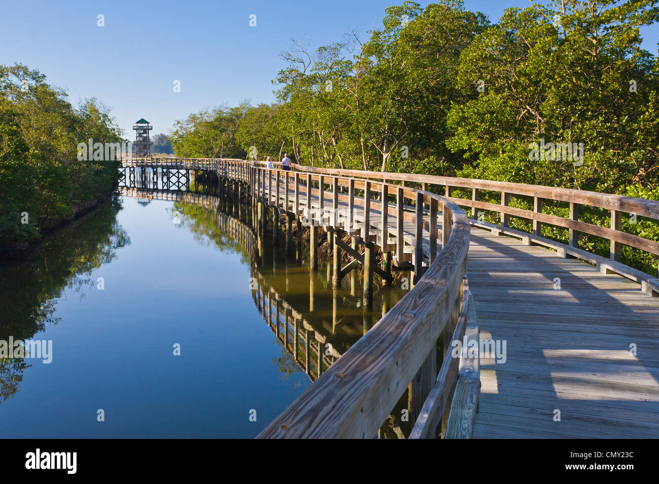 Raised boardwalk in Robinson Preserve in Manatee County in Bradenton