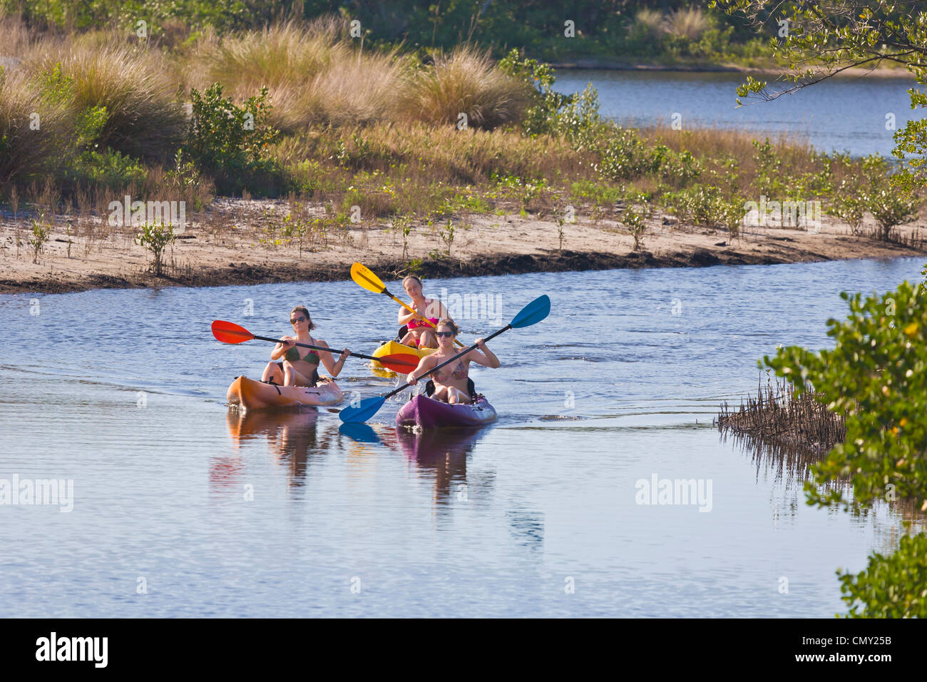 Robinson preserve manatee county bradenton hires stock photography and