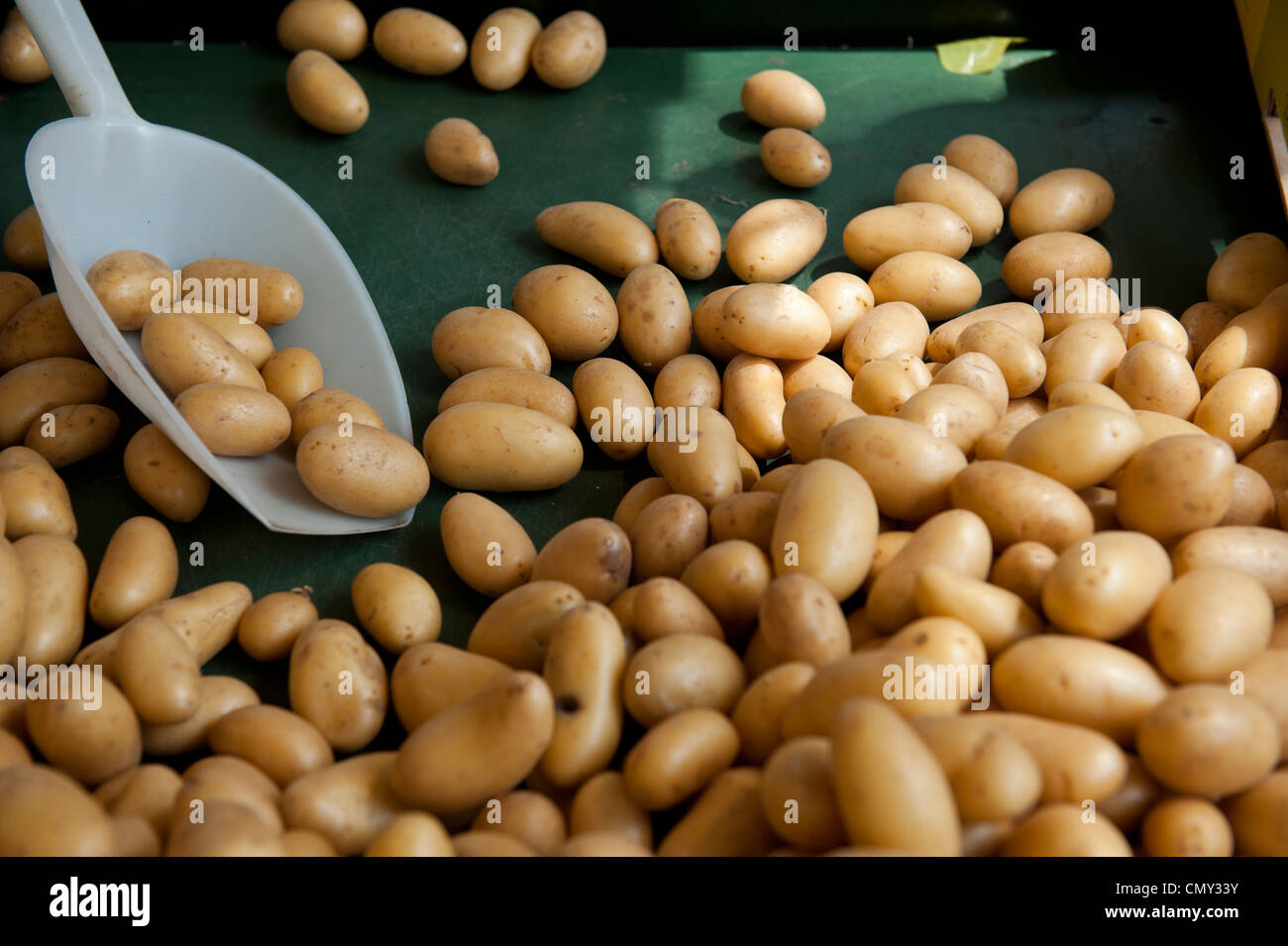 White scooper being used to select potatoes. Stock Photo