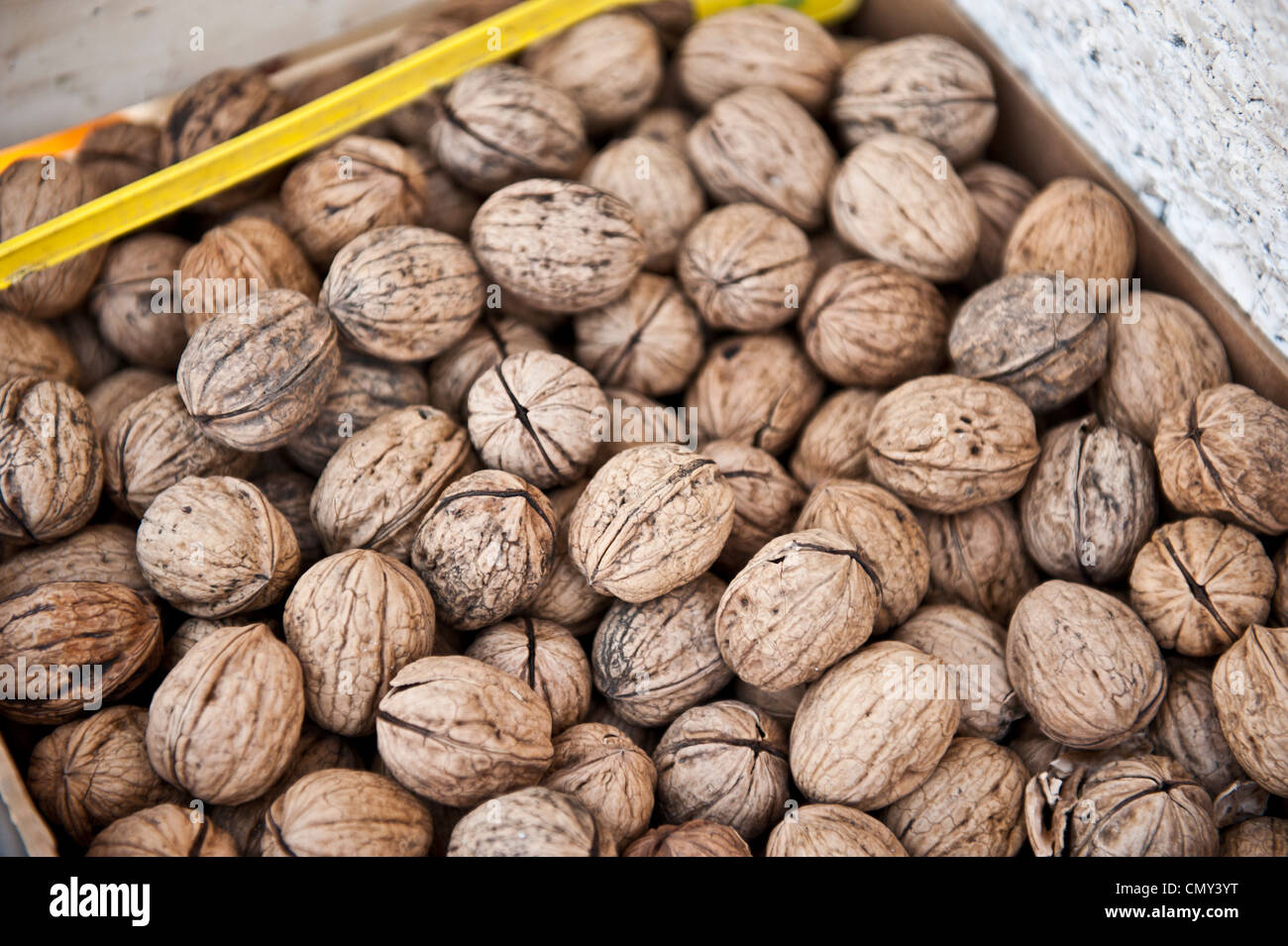 Closeup of walnuts. Stock Photo